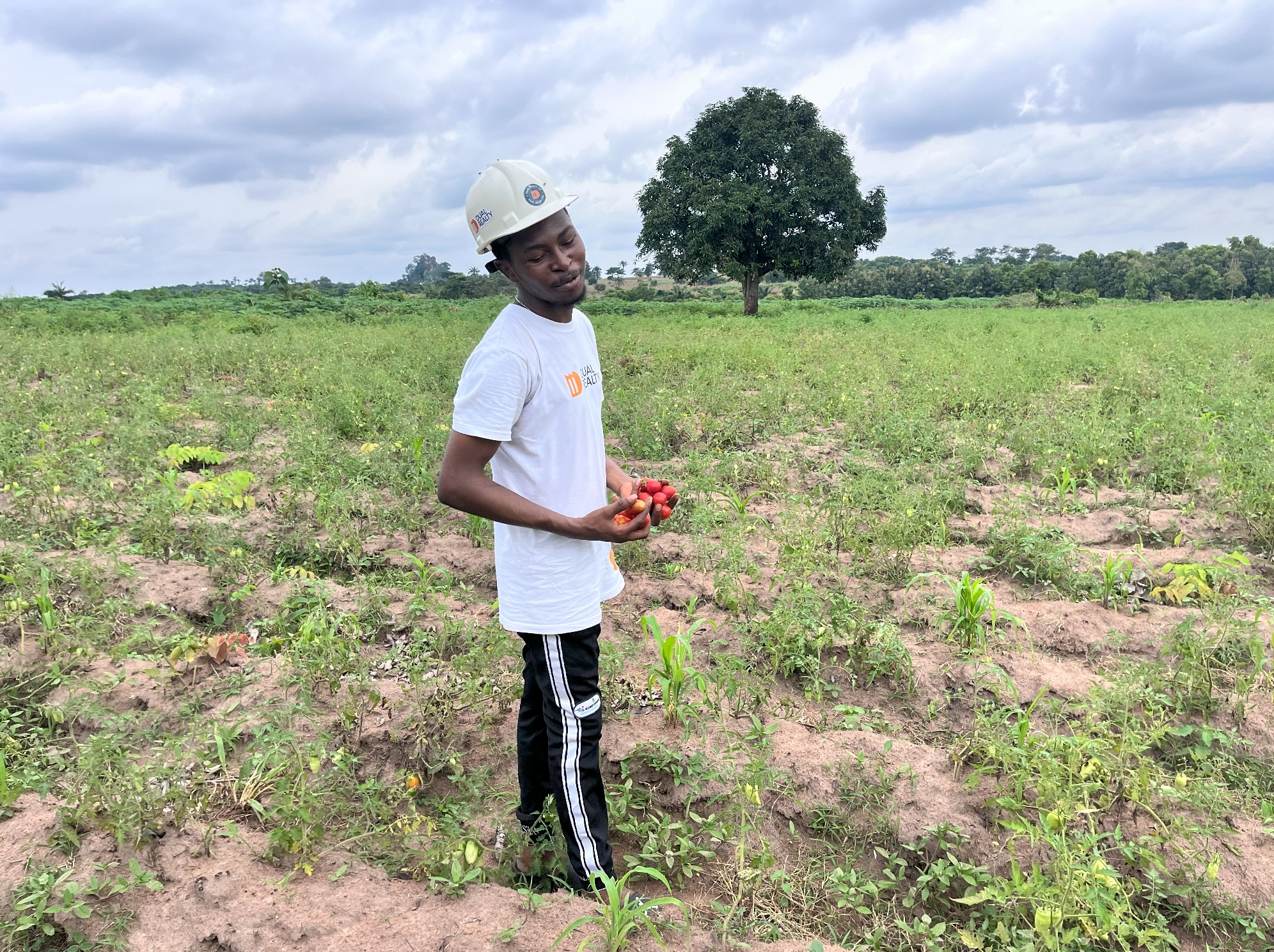 Don’t Just Own Land, Own Land That Earns. Image 5