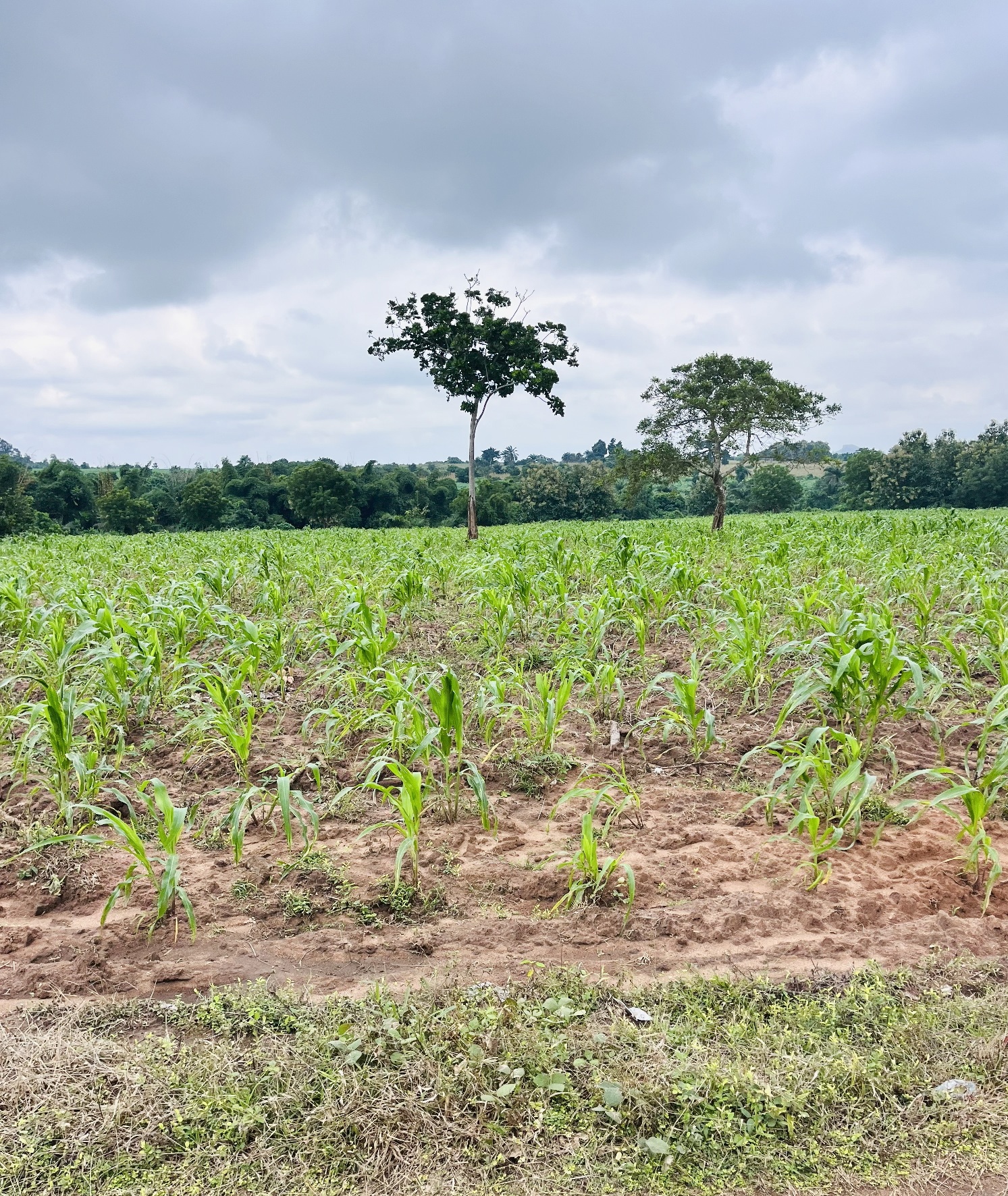 Don’t Just Own Land, Own Land That Earns. Image 4
