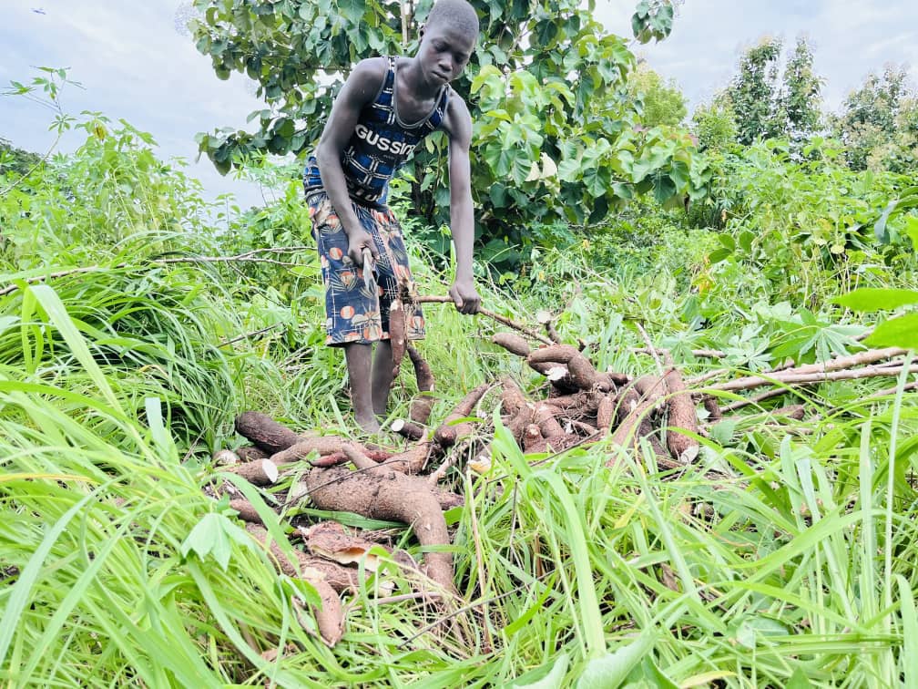 The Fruits of Smart Land Ownership Image 4