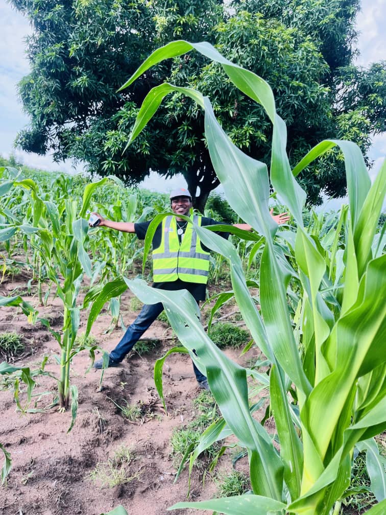 The Fruits of Smart Land Ownership Image 6