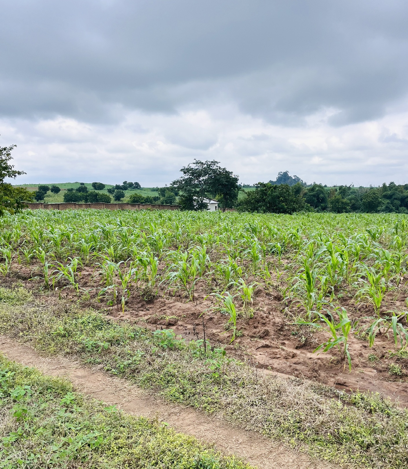 Don’t Just Own Land, Own Land That Earns. Image 6